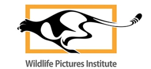 WILDLIFE PICTURES INSTITUTE