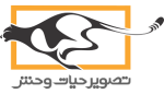 تصویر حیات وحش