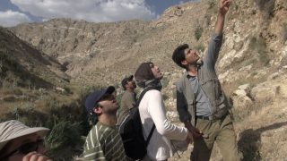 نمایی از مستند در قلمرو دم عنکبوتی