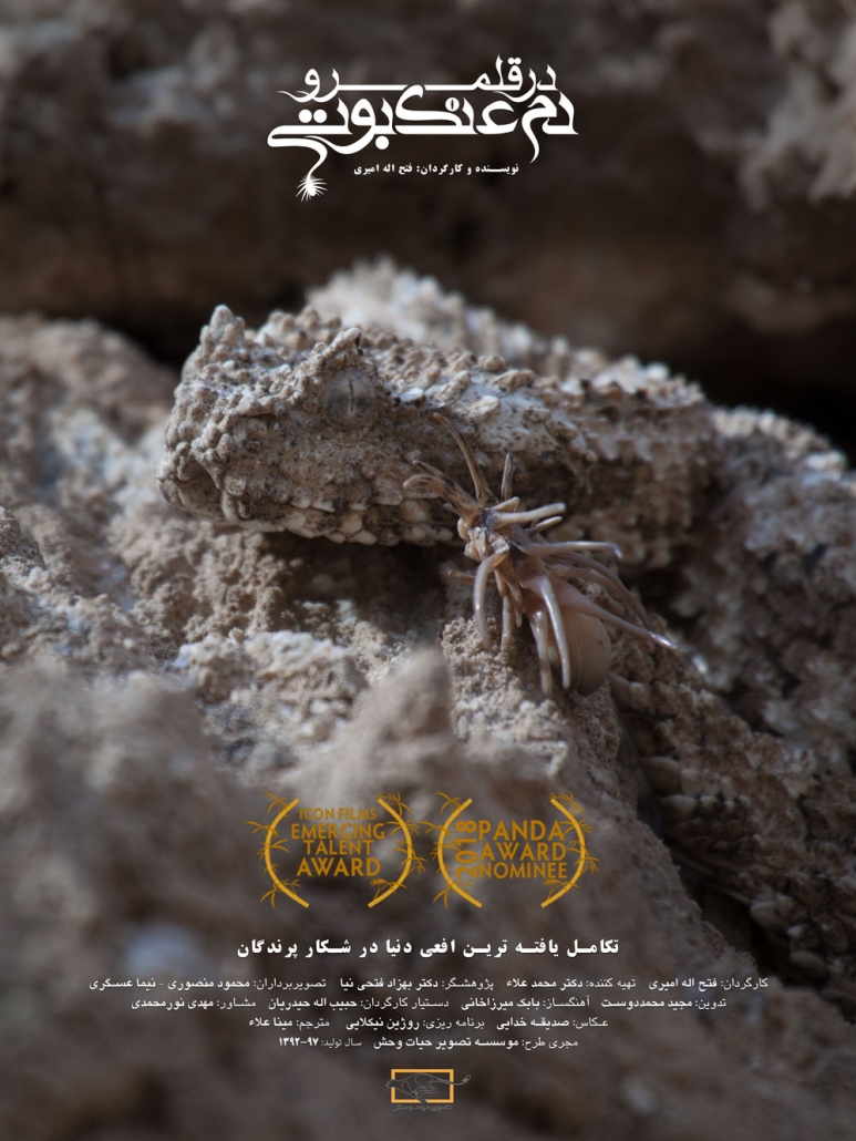 پوستر فیلم در قلمرو افعی دم عنکبوتی