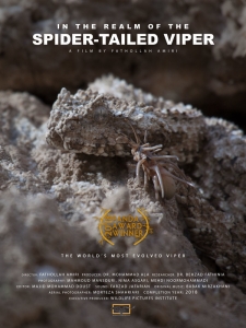 In the Realm of the Spider-tailed Viper Poster