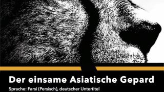 تنهاوش در آلمان