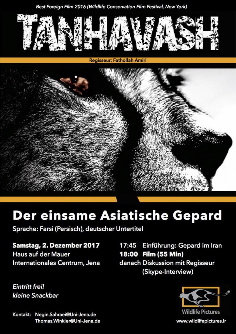 تنهاوش در آلمان