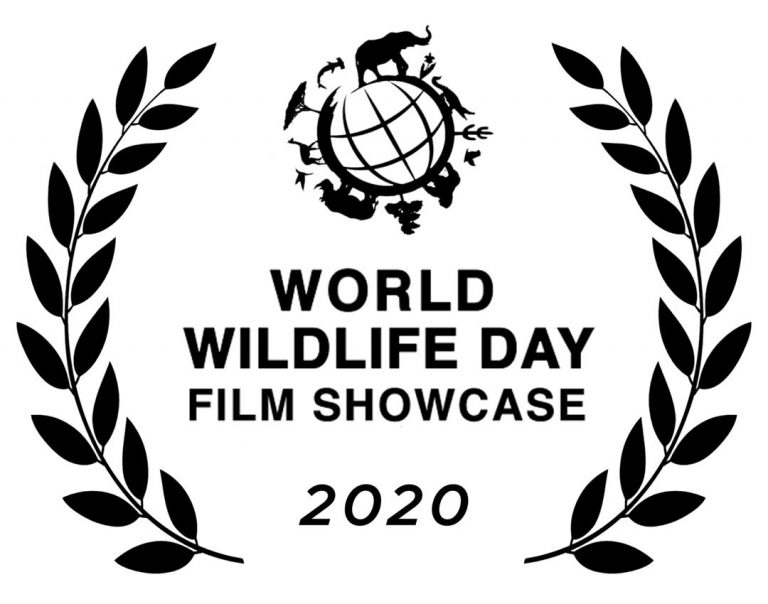 World Wildlife Day Film Showcase