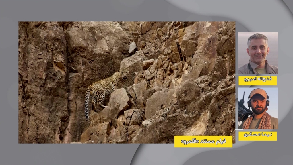 مستند قلمرو از شبکه مستند