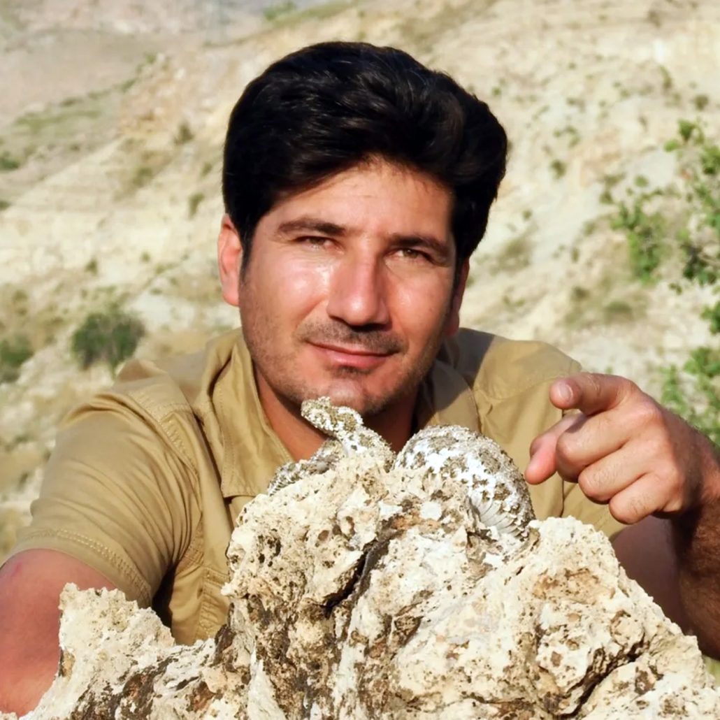 محمود منصوری