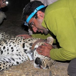 دکتر محمدصادق فرهادی‌نیا