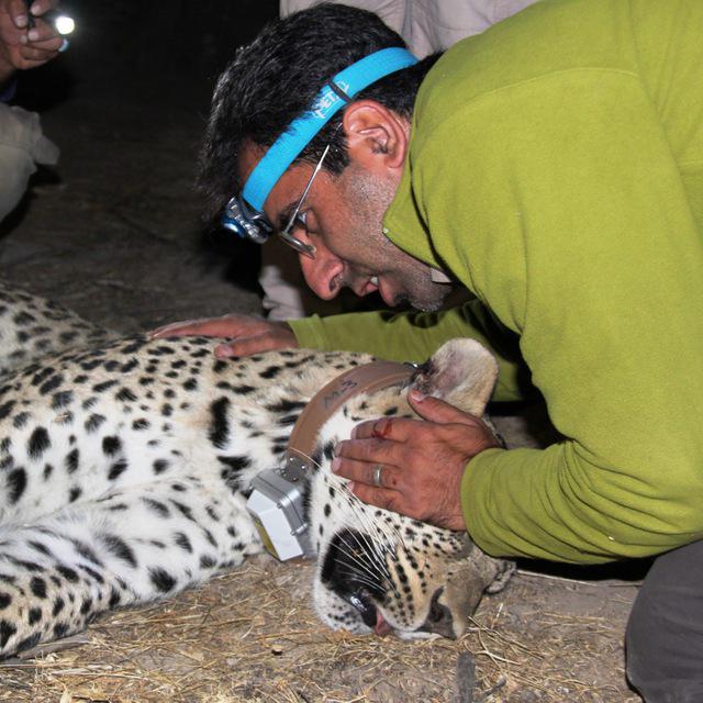 دکتر محمدصادق فرهادی‌نیا