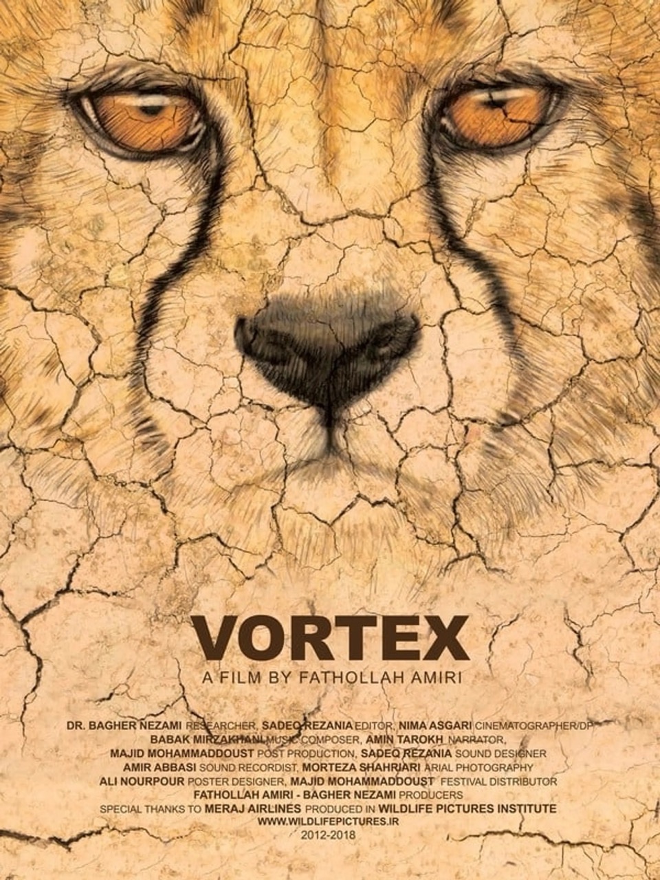 Vortex Movie Poster