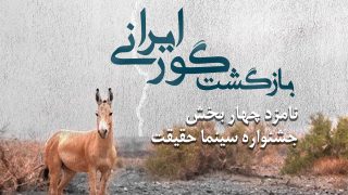 بازگشت گور ایرانی، نامزد چهار جایزه در جشنواره سینماحقیقت