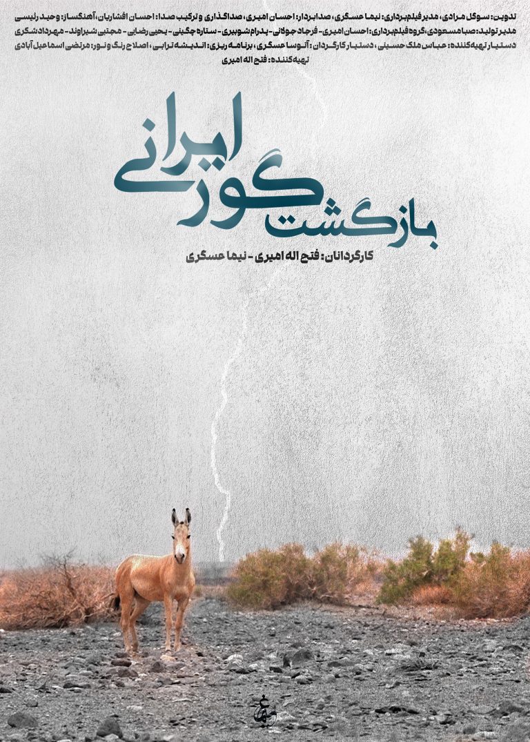 پوستر فیلم بازگشت گور ایرانی