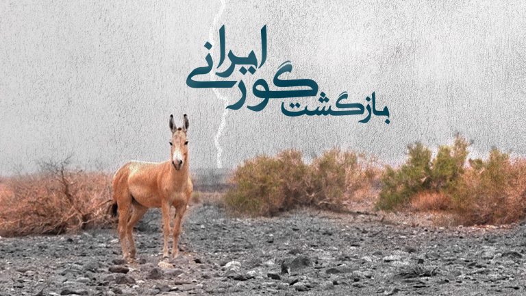 اکران مستند بازگشت گور ایرانی